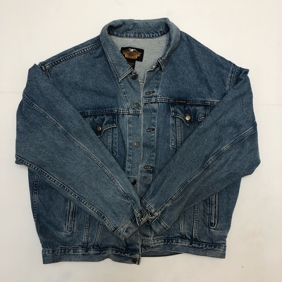 Vintage Harley-Davidson Denim Jacket - Picture 1 of 7